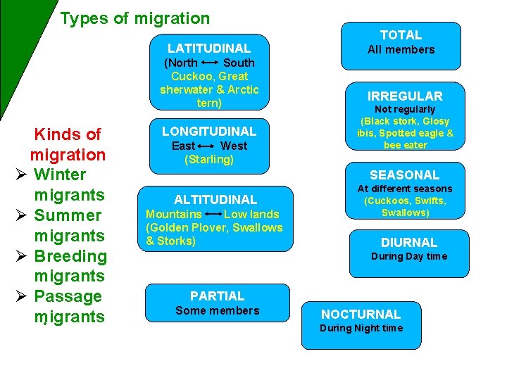 Types of migration LATITUDINAL (North South Cuckoo, Great sherwater & Arctic tern) Kinds of