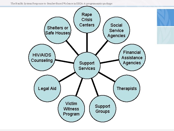 The Health System Response to Gender-Based Violence in EECA: A programmatic package Shelters or