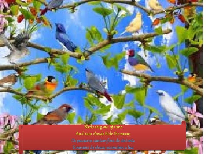 Birds sing out of tune And rain clouds hide the moon Os passaros cantam
