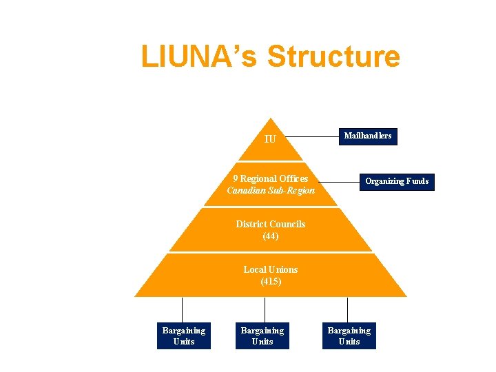 LIUNA’s Structure IU 9 Regional Offices Canadian Sub-Region Mailhandlers Organizing Funds District Councils (44)