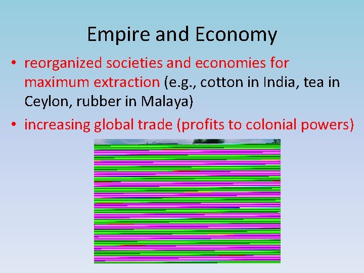 Empire and Economy • reorganized societies and economies for maximum extraction (e. g. ,