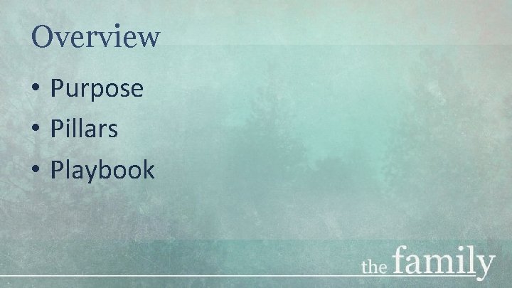 Overview • Purpose • Pillars • Playbook 