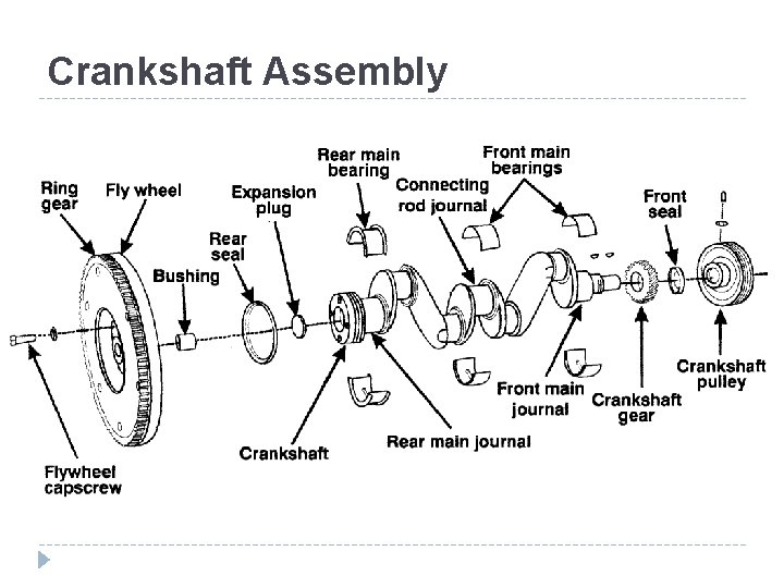Crankshaft Assembly 