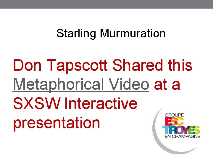 Starling Murmuration Don Tapscott Shared this Metaphorical Video at a SXSW Interactive presentation 