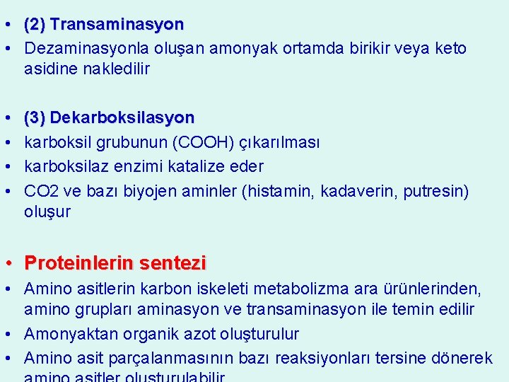  • (2) Transaminasyon • Dezaminasyonla oluşan amonyak ortamda birikir veya keto asidine nakledilir