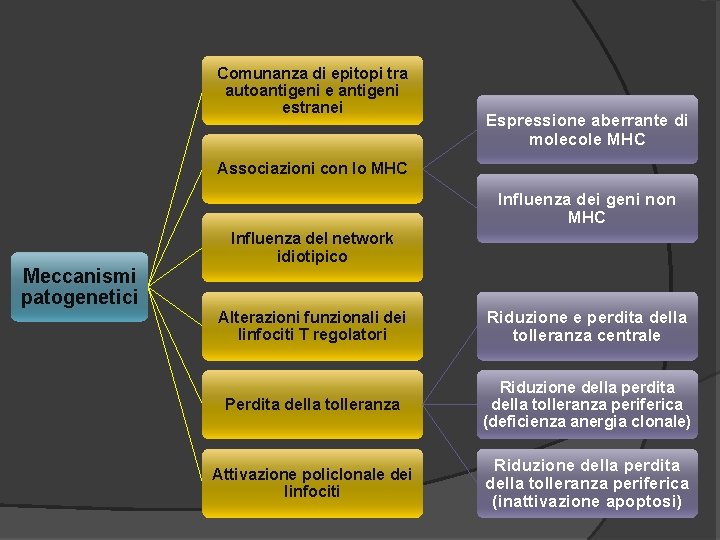 Comunanza di epitopi tra autoantigeni estranei Espressione aberrante di molecole MHC Associazioni con lo