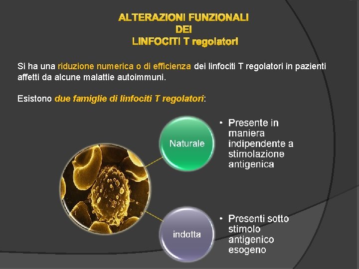 ALTERAZIONI FUNZIONALI DEI LINFOCITI T regolatori Si ha una riduzione numerica o di efficienza