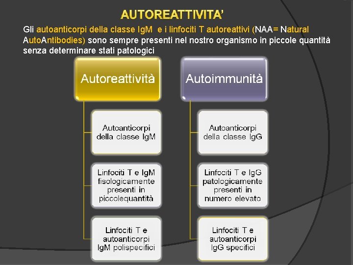 Gli autoanticorpi della classe Ig. M e i linfociti T autoreattivi (NAA= Natural Auto.