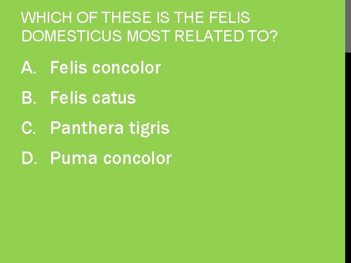 WHICH OF THESE IS THE FELIS DOMESTICUS MOST RELATED TO? A. Felis concolor B.