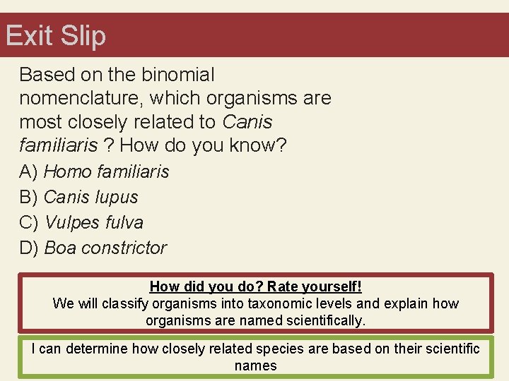 Exit. Bell. Slip Ringer Based on the binomial nomenclature, which organisms are most closely