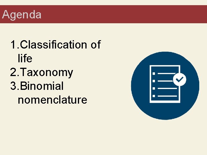 Agenda Bell Ringer 1. Classification of life 2. Taxonomy 3. Binomial nomenclature 