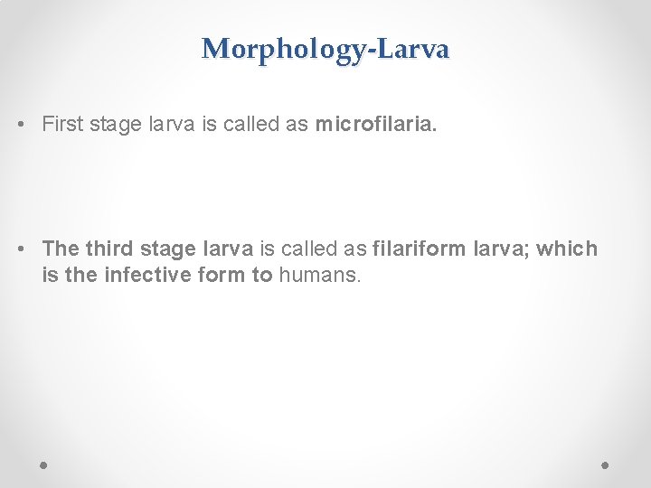 Morphology-Larva • First stage larva is called as microfilaria. • The third stage larva