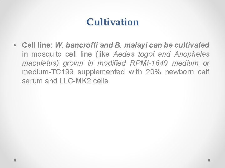 Cultivation • Cell line: W. bancrofti and B. malayi can be cultivated in mosquito