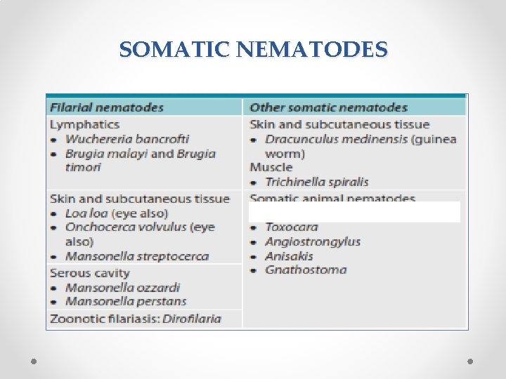 SOMATIC NEMATODES 