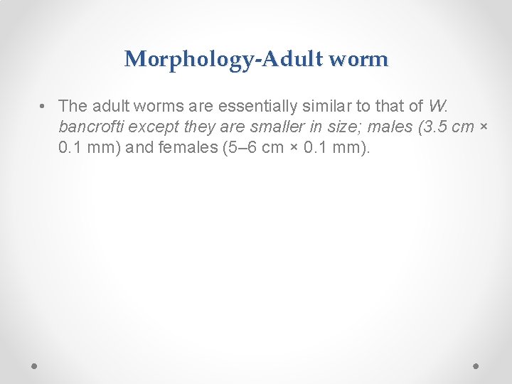 Morphology-Adult worm • The adult worms are essentially similar to that of W. bancrofti