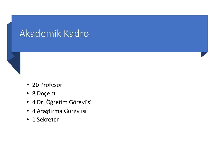 Akademik Kadro • • • 20 Profesör 8 Doçent 4 Dr. Öğretim Görevlisi 4