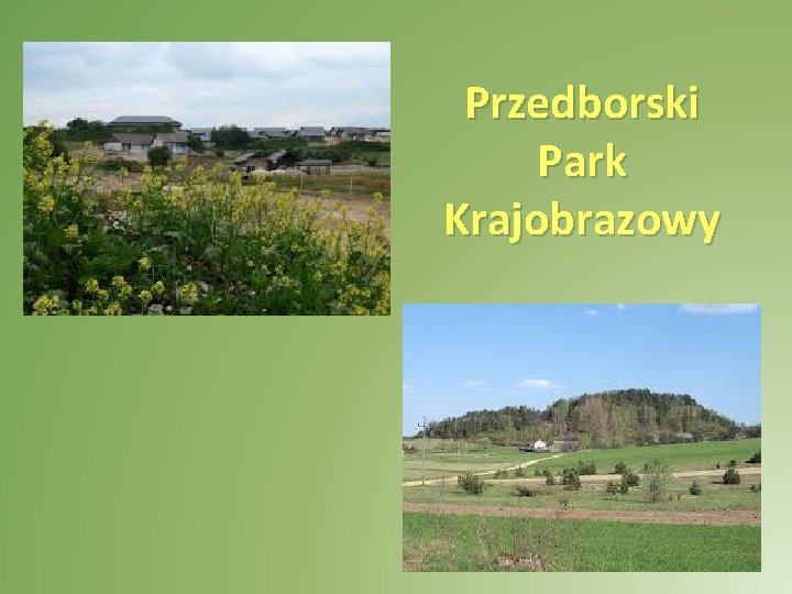 Przedborski Park Krajobrazowy 