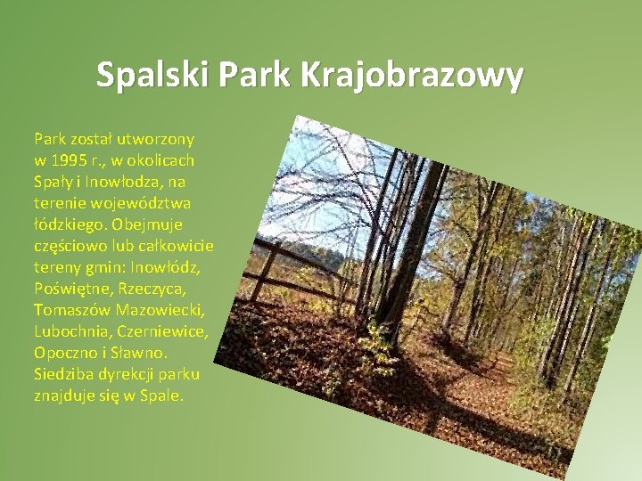 Spalski Park Krajobrazowy Park został utworzony w 1995 r. , w okolicach Spały i