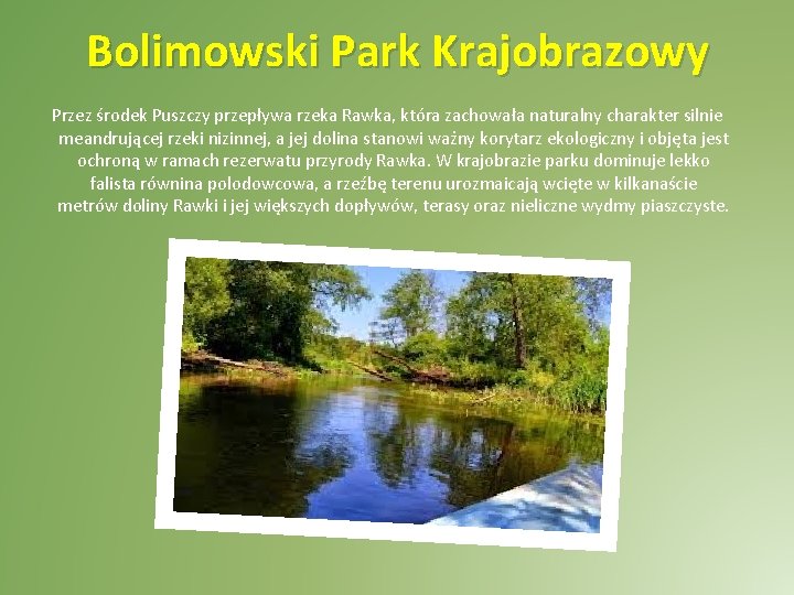 Bolimowski Park Krajobrazowy Przez środek Puszczy przepływa rzeka Rawka, która zachowała naturalny charakter silnie