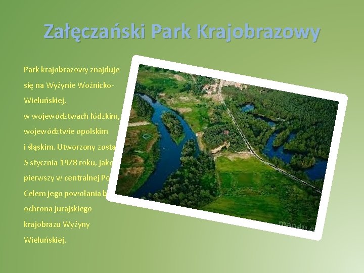 Załęczański Park Krajobrazowy Park krajobrazowy znajduje się na Wyżynie Woźnicko. Wieluńskiej, w województwach łódzkim,