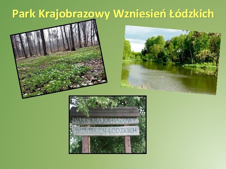 Park Krajobrazowy Wzniesień Łódzkich 