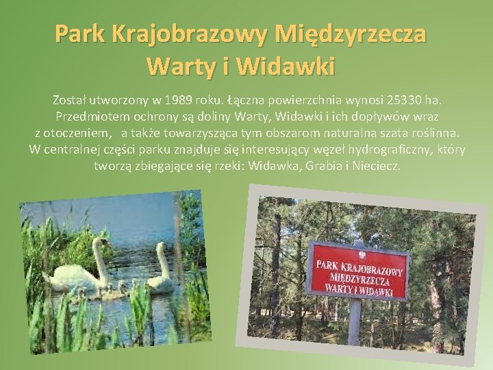 Park Krajobrazowy Międzyrzecza Warty i Widawki Został utworzony w 1989 roku. Łączna powierzchnia wynosi