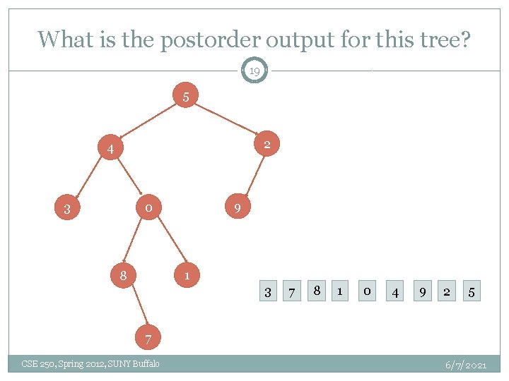 What is the postorder output for this tree? 19 5 2 4 3 9