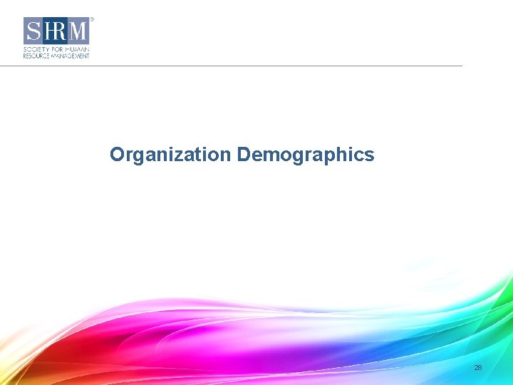 Organization Demographics 28 