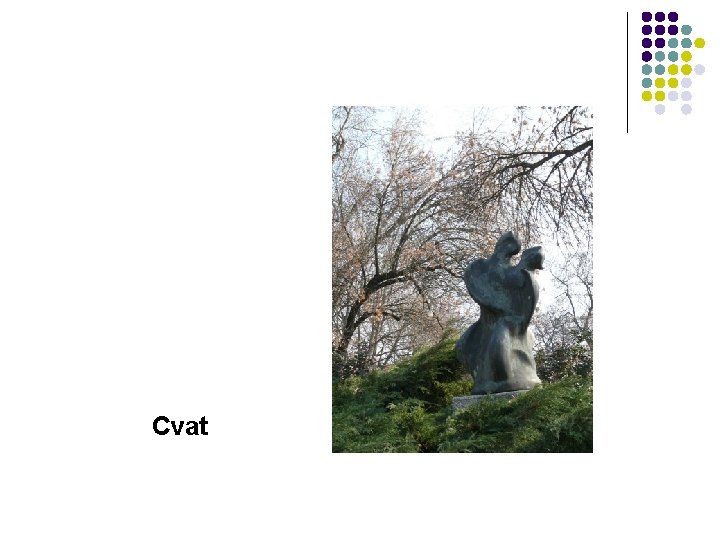 Cvat 