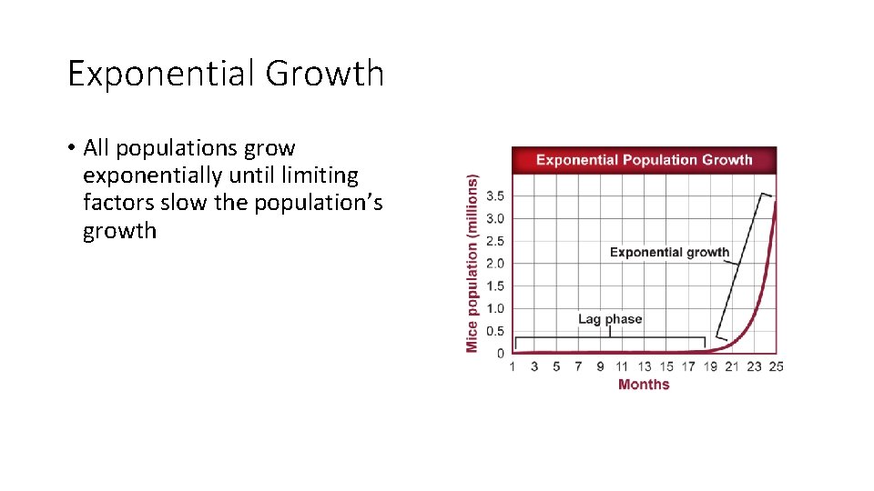 Exponential Growth • All populations grow exponentially until limiting factors slow the population’s growth