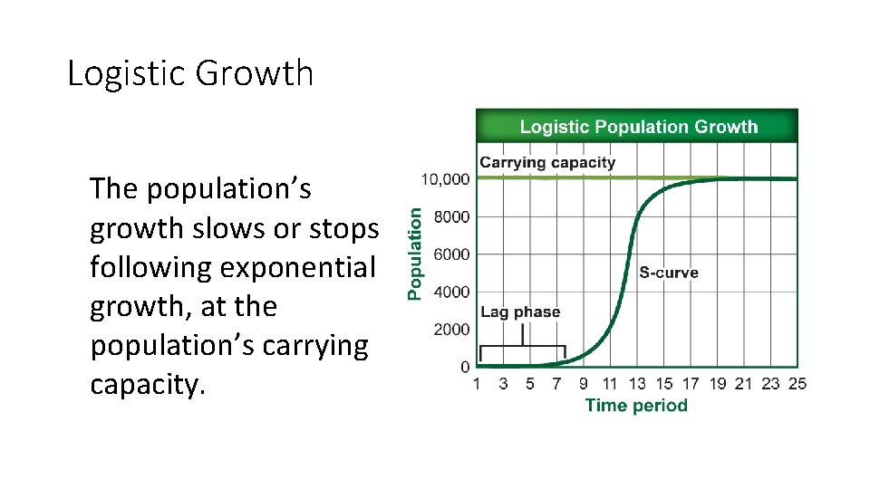 Logistic Growth The population’s growth slows or stops following exponential growth, at the population’s