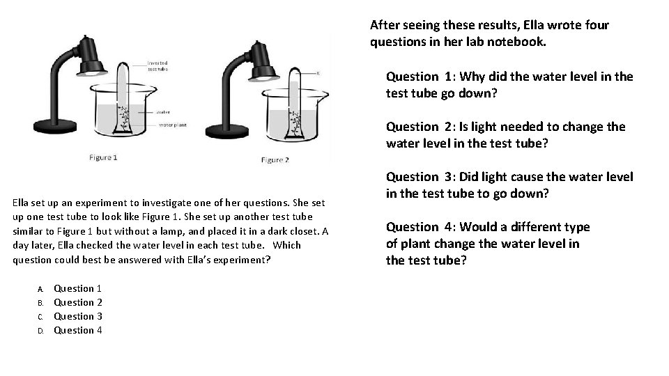 After seeing these results, Ella wrote four questions in her lab notebook. Question 1: