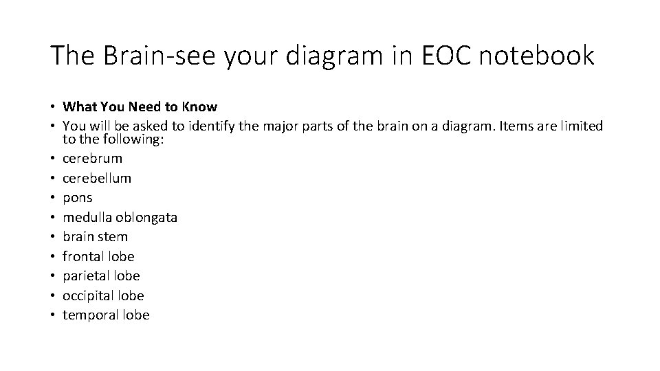 The Brain-see your diagram in EOC notebook • What You Need to Know •