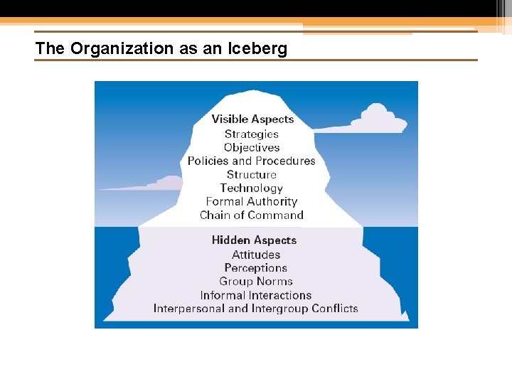 The Organization as an Iceberg 