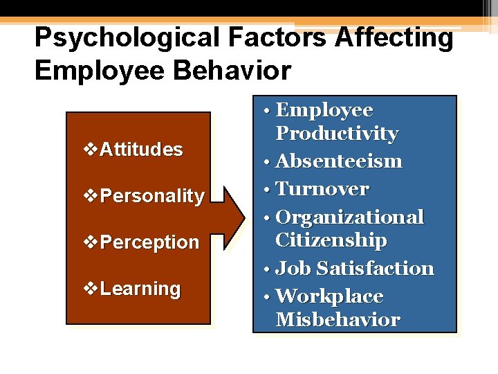 Psychological Factors Affecting Employee Behavior v. Attitudes v. Personality v. Perception v. Learning •