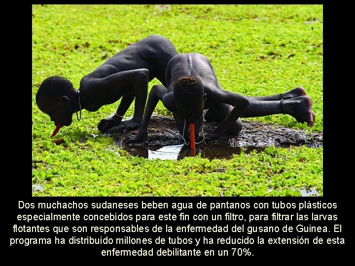 Dos muchachos sudaneses beben agua de pantanos con tubos plásticos especialmente concebidos para este