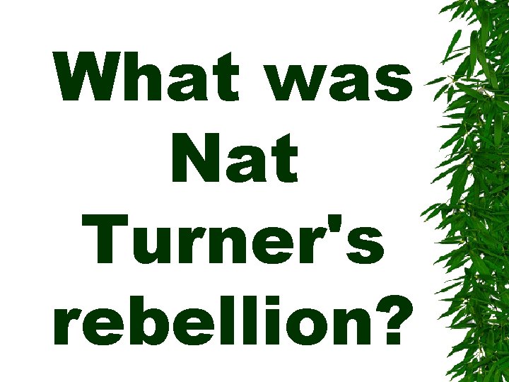 What was Nat Turner's rebellion? 