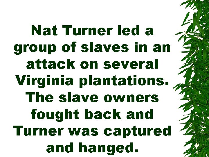 Nat Turner led a group of slaves in an attack on several Virginia plantations.