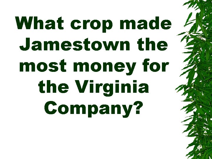 What crop made Jamestown the most money for the Virginia Company? 