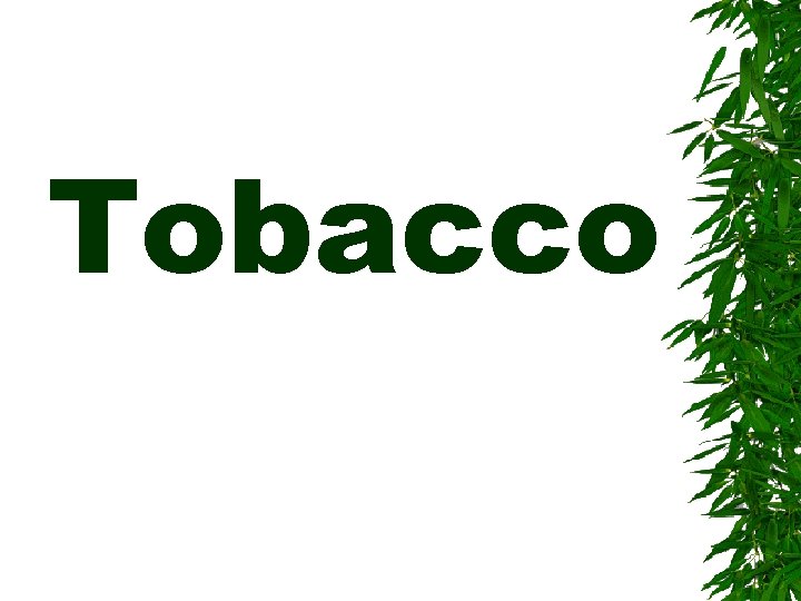 Tobacco 