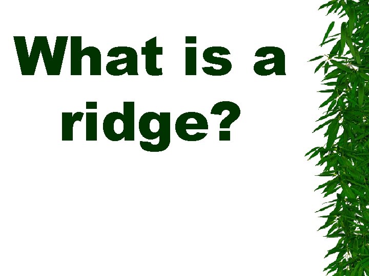 What is a ridge? 