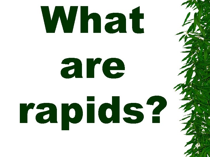 What are rapids? 