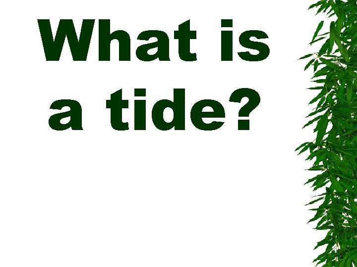 What is a tide? 