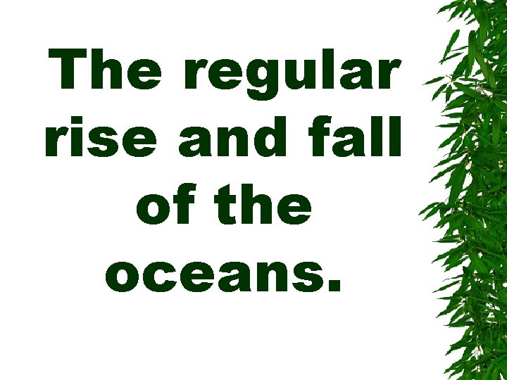 The regular rise and fall of the oceans. 