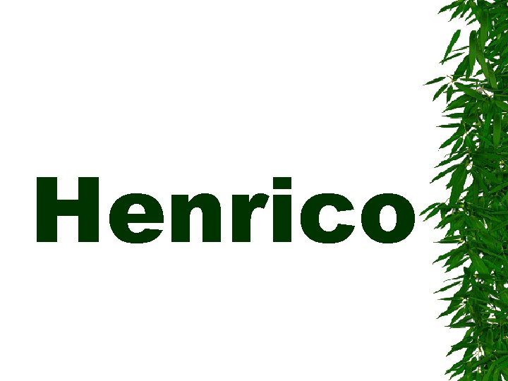 Henrico 