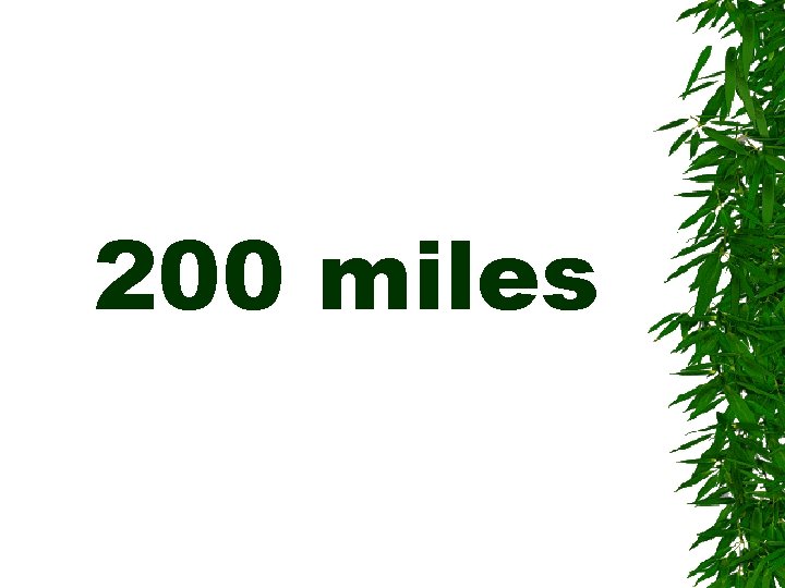 200 miles 