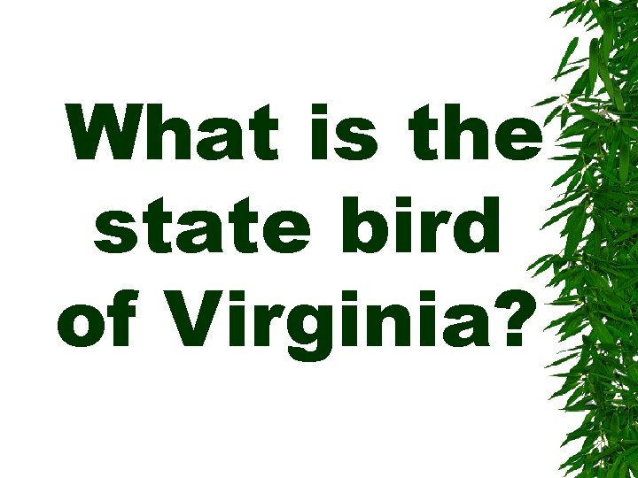 What is the state bird of Virginia? 