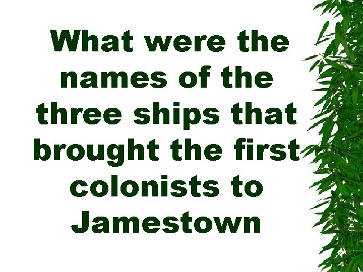 What were the names of the three ships that brought the first colonists to