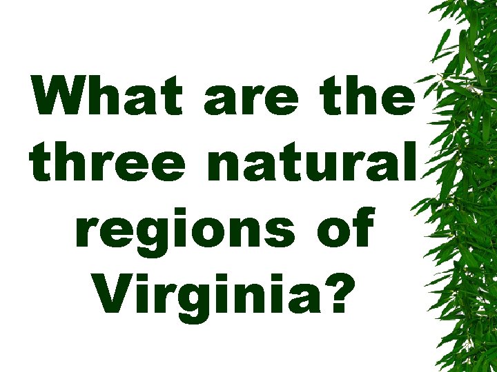 What are three natural regions of Virginia? 