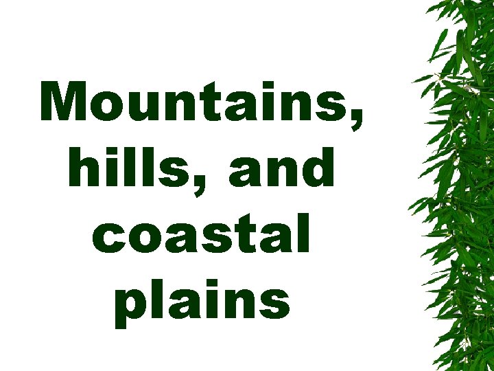 Mountains, hills, and coastal plains 